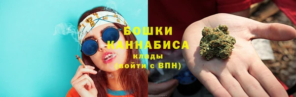 соль ск Бронницы