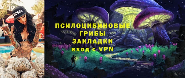 мдма Богданович