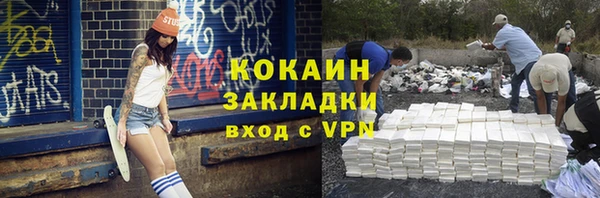не бодяженный Бородино