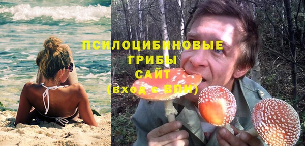 не бодяженный Бородино