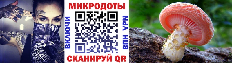 купить наркоту Галич Галлюциногенные грибы GOLDEN TEACHER